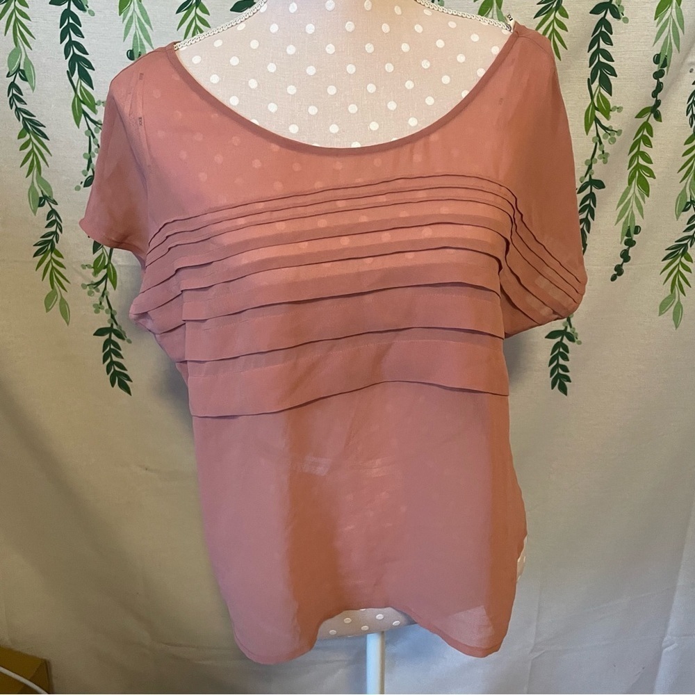 Size L Forever 21 Sheer Blouse D2
